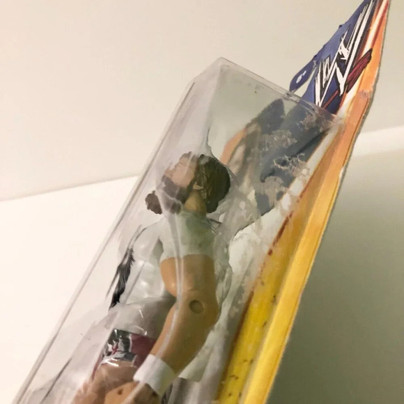 WWE 2014 Daniel Bryan Superstar Mattel Action Figure  Damaged Box - Picture 7 of 16